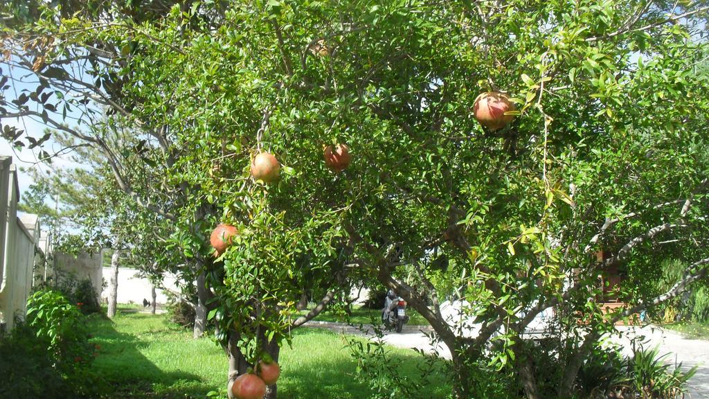 Taverna Grika Βίλα Λέτσε Εξωτερικό φωτογραφία